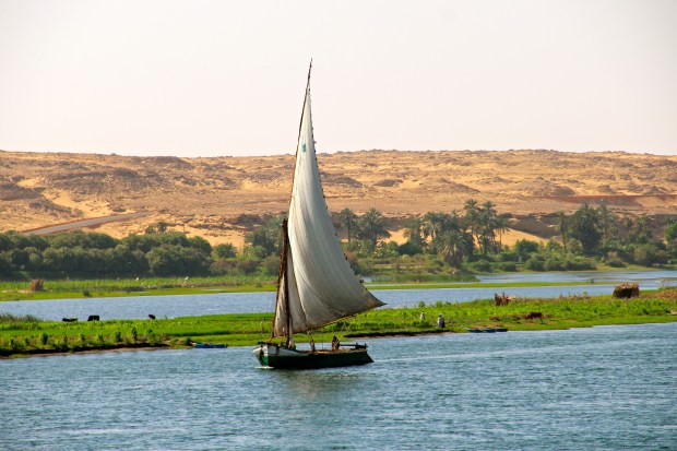 felucca-boat