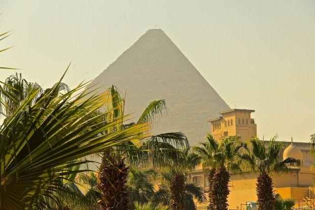 View from the room of our hotel Menna House.JPG